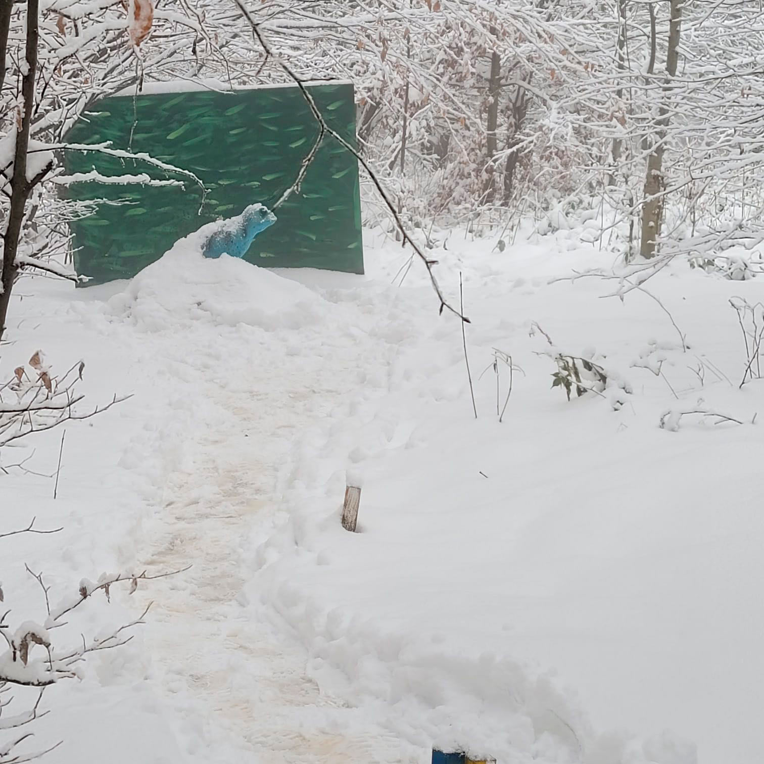 5bccda60 0949 47ad 87d9 186aa594efa0