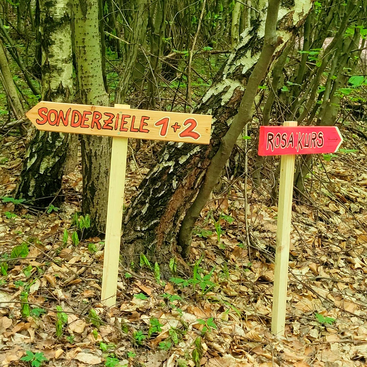 7c5be1f0 3656 49d5 bcea 255120f49bad