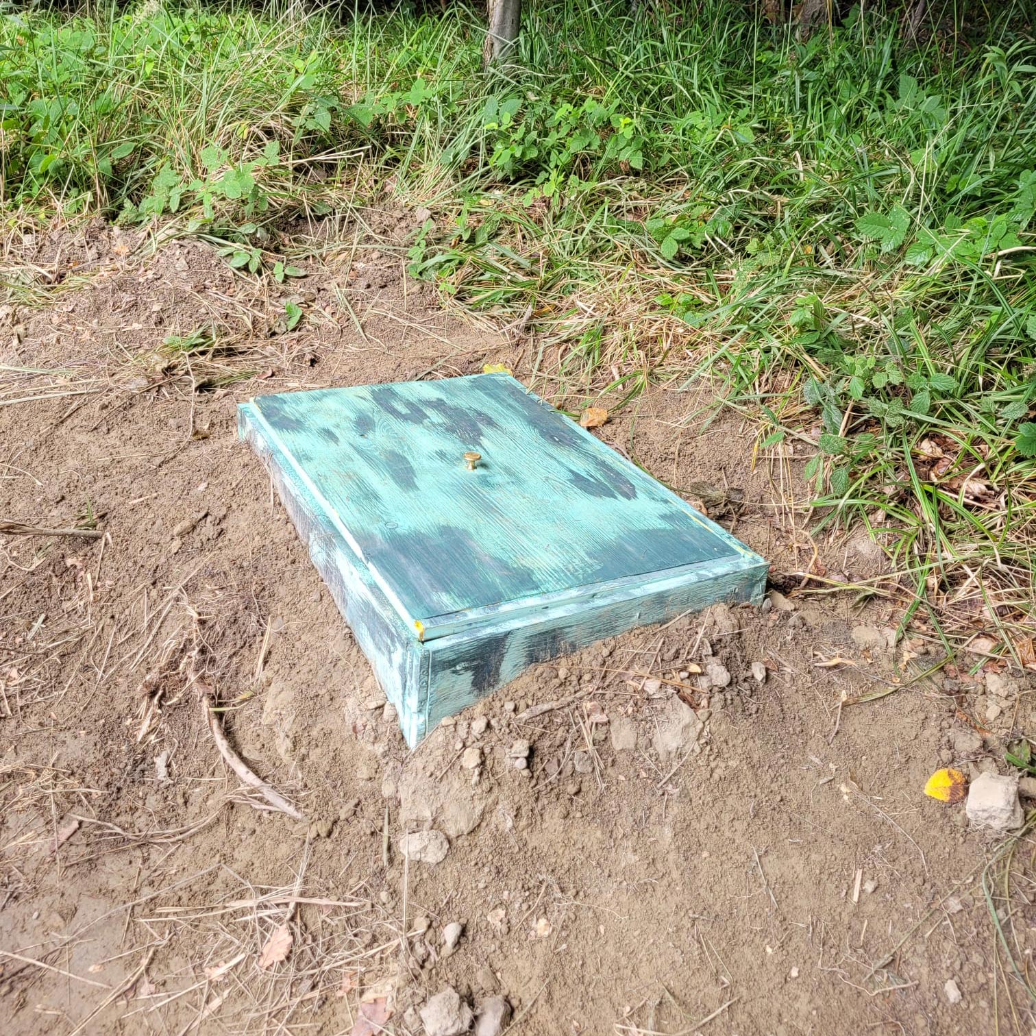 1c620e33 e208 43d4 a315 f97386b64b77