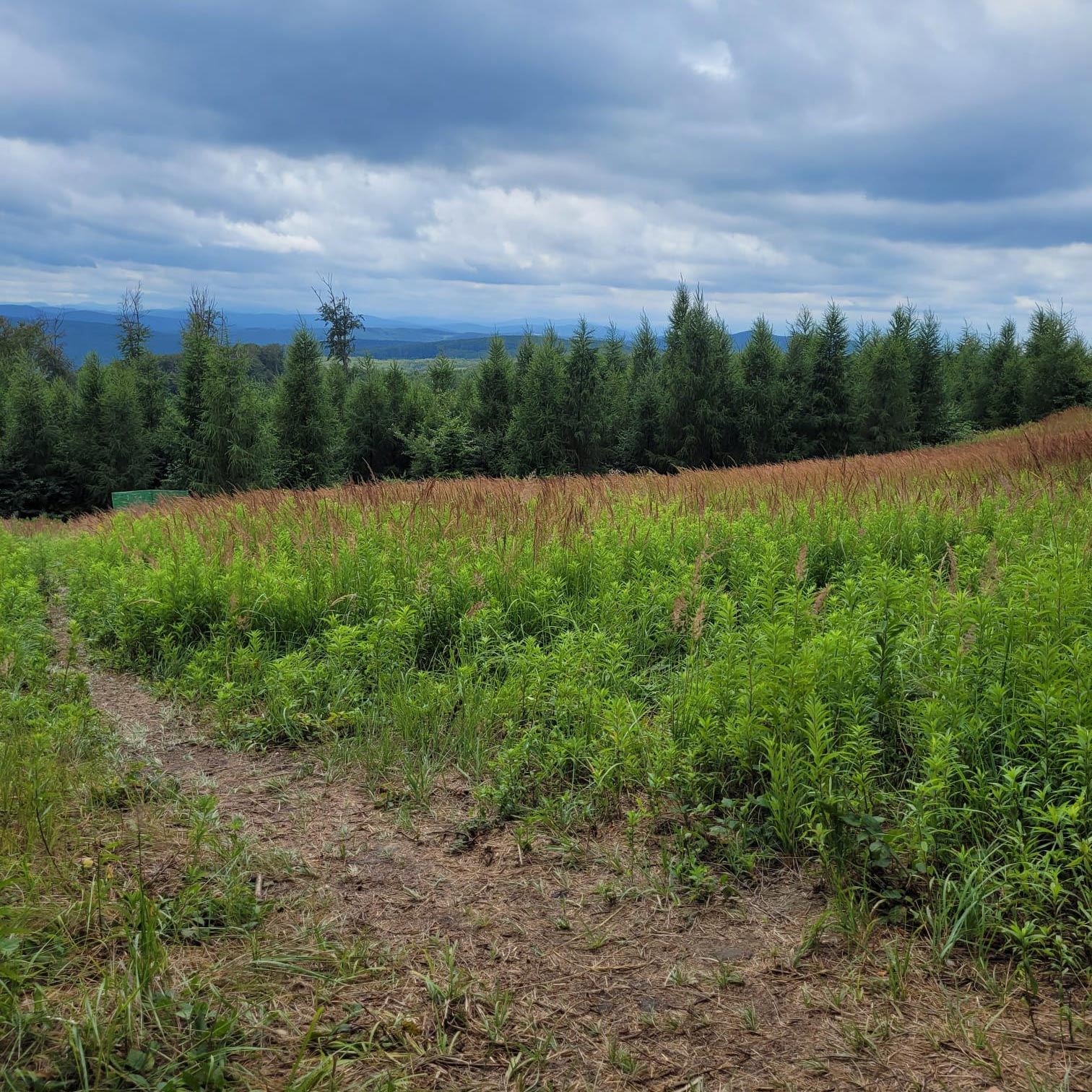 bc9842e7 d1ee 428d 9a89 a3a6ad018d73