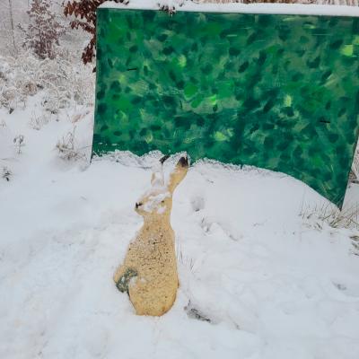 Polarhase im Schnee